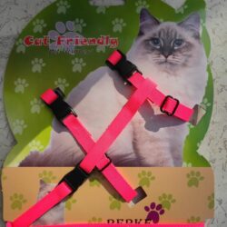 Ayarlanabilir Kedi Tasması