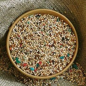 MUHABBET YEM KARIŞIK 5 KG ACIK