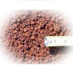 LAV KIRIĞI 1 KG İNCE KIRIM BİTKİLİ AKVARYUM İÇİN İDEAL. - Görsel 3