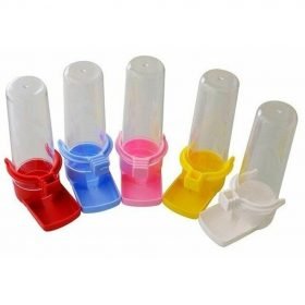 Muhabbet Kuşu Suluk