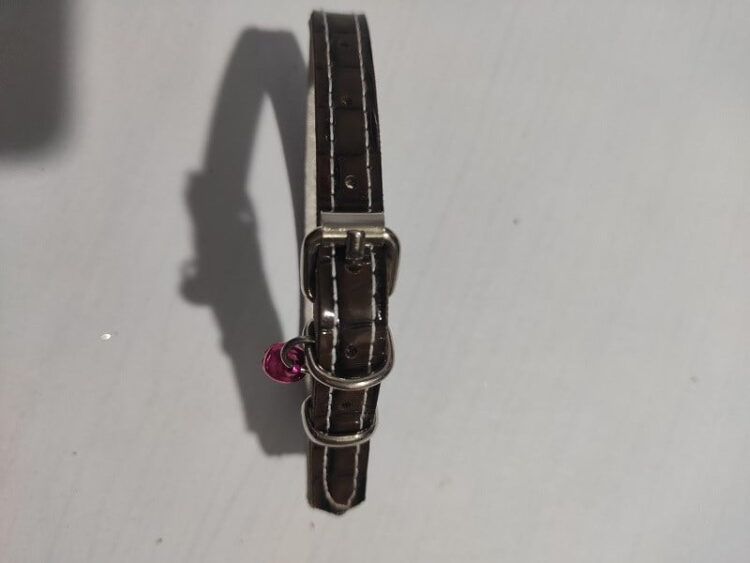 Kedi Köpek Boyun Tasması 29 cm çıngaraklı Vilnex - Görsel 2