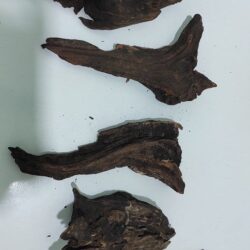 MANGROV KÖKÜ HERTURLU TATLI SU AKVARYUMUNDA KULLANILIR 35-45  CM