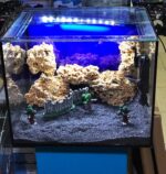 BUHAR SÜRGÜLÜ AKVARYUM 50x40x40 CM CAMDAN CAMA BOŞ AKVARYUM