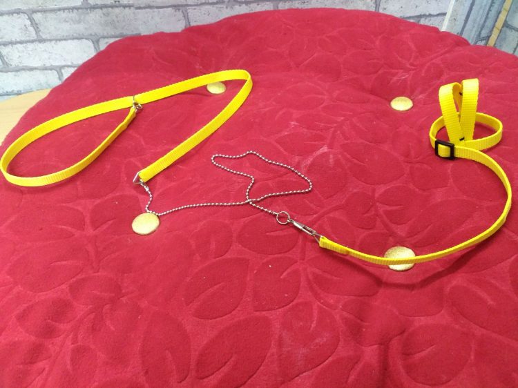 53248425f4f240c6ad5a40cd99cb6aa1.jpg muhabbet kuşu Tasması - Görsel 3