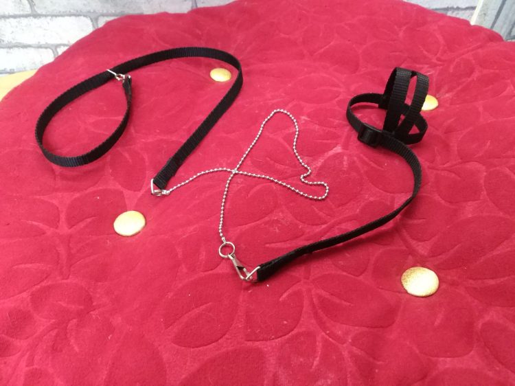 ab6e662d1e4f4b99b260ad39d9dea02a.jpg muhabbet kuşu Tasması - Görsel 4