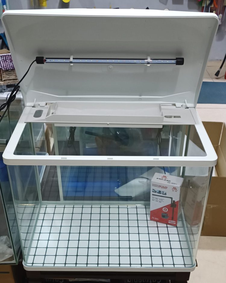 98e4d3e0-91be-47fa-afd8-3a29346d54a0 ITHAL AKVARYUM 62x37.5x53 CM TEPE SUMP MOTORLU VE 3 RENK LED LAMBALI - Görsel 3