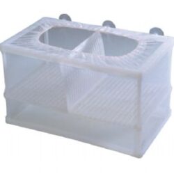 TÜL YAVRULUK 16*14*15CM İKİ BÖLMELİ