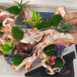 AKVARYUM  DEKORU TAŞTAN YAPILMA BÜYÜK BOY YAKLASIK 25 CM DEKOR