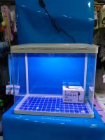 ITHAL AKVARYUM 49X28X44 CM TEPE SUMP MOTORLU VE 6000 CALVİN LED LAMBALI - Görsel 5