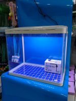 ITHAL AKVARYUM 49X28X44 CM TEPE SUMP MOTORLU VE 6000 CALVİN LED LAMBALI - Görsel 6