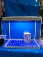 ITHAL AKVARYUM 49X28X44 CM TEPE SUMP MOTORLU VE 6000 CALVİN LED LAMBALI - Görsel 7