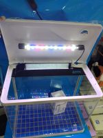 ITHAL AKVARYUM 49X28X44 CM TEPE SUMP MOTORLU VE 6000 CALVİN LED LAMBALI - Görsel 4