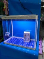 ITHAL AKVARYUM 49X28X44 CM TEPE SUMP MOTORLU VE 6000 CALVİN LED LAMBALI